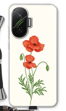 Red poppy
