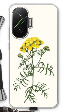Tansy