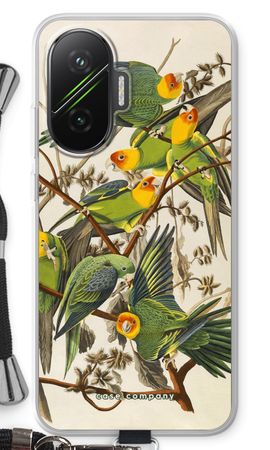 Carolina Parrot