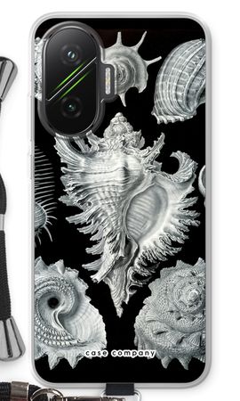 Haeckel Prosobranchia