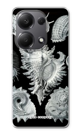 Haeckel Prosobranchia