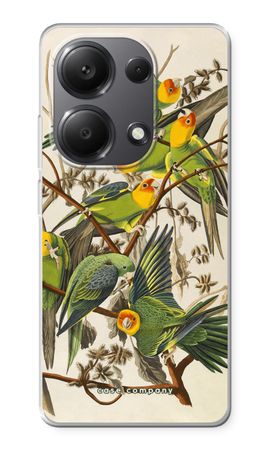 Carolina Parrot