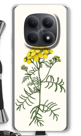 Tansy