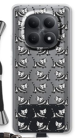 Black cat