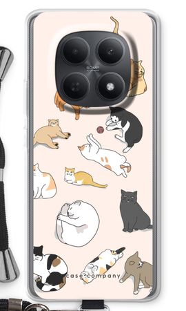 Cats