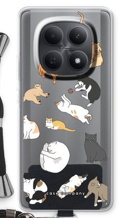Cats