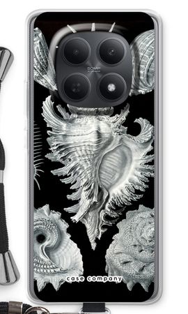 Haeckel Prosobranchia
