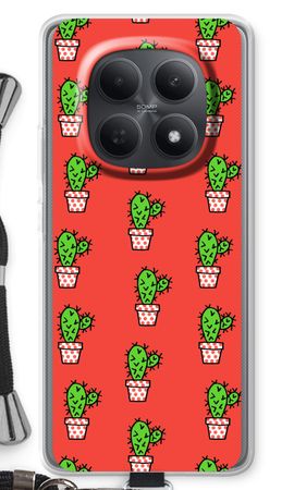 Mini cactus