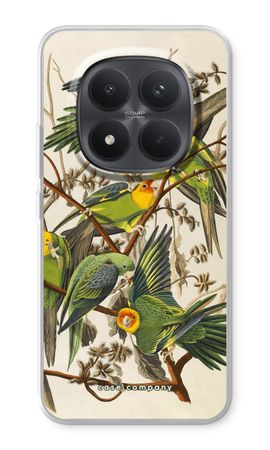 Carolina Parrot