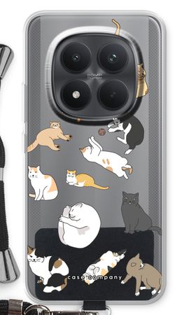 Cats