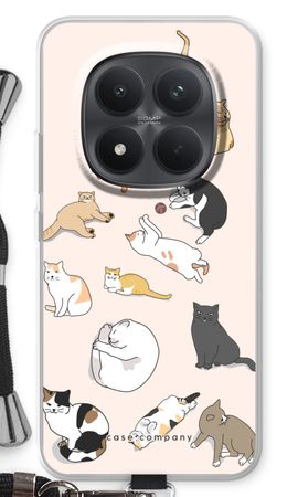 Cats