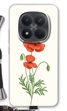Red poppy