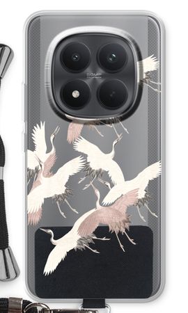 Japanese Crane Birds