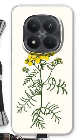 Tansy