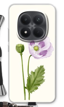 Purple poppy