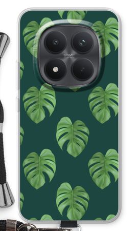 Monstera leaves