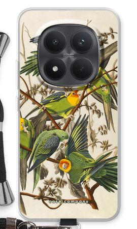 Carolina Parrot