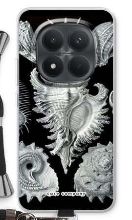 Haeckel Prosobranchia