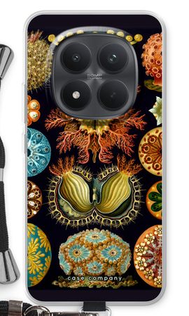 Haeckel Ascidiae