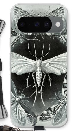 Haeckel Tineida