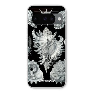 Haeckel Prosobranchia