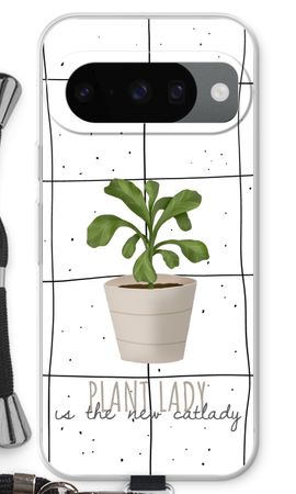 Houseplant on windowpane