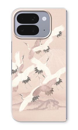 Japanese Crane Birds