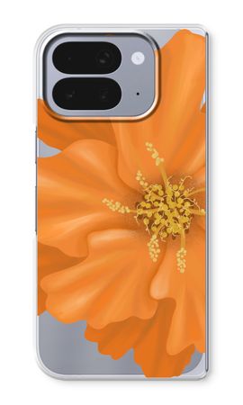Orange Ellila flower