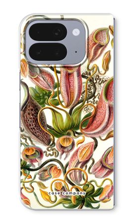 Haeckel Nepenthaceae