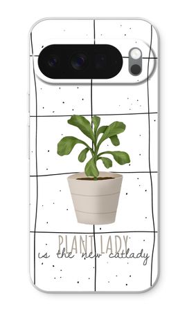 Houseplant on windowpane
