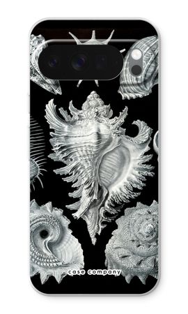 Haeckel Prosobranchia