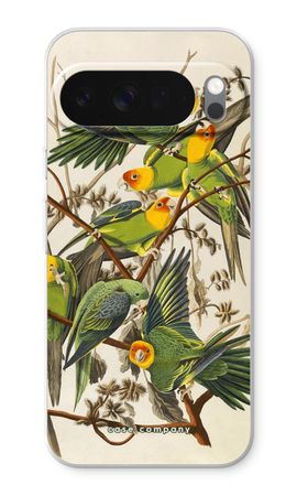 Carolina Parrot