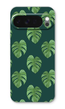 Monstera leaves