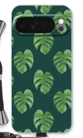 Monstera leaves