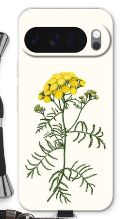 Tansy