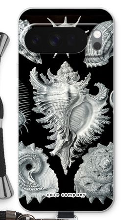 Haeckel Prosobranchia