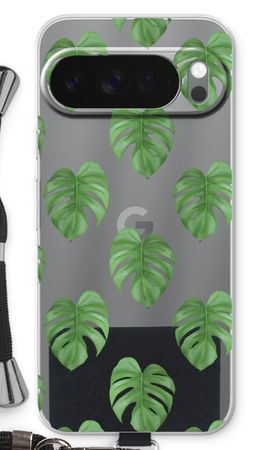 Monstera leaves