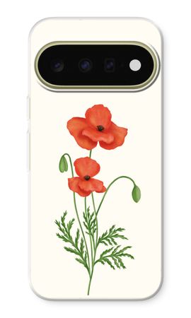 Red poppy