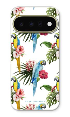 Colourful parrots
