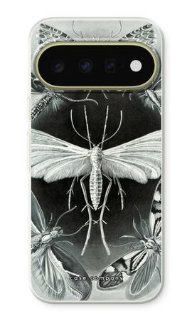 Haeckel Tineida
