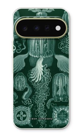 Haeckel Cubomedusae