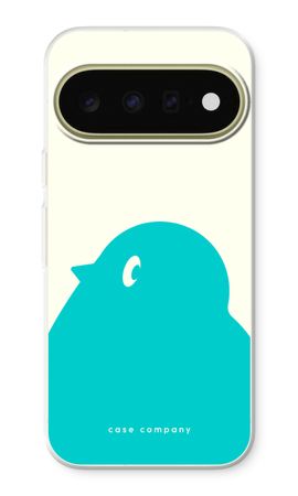 BIG Robin 1