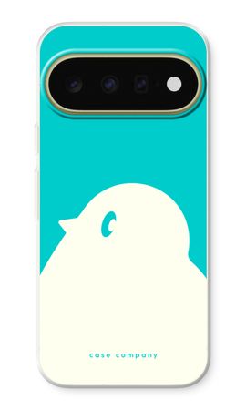 BIG Robin 2