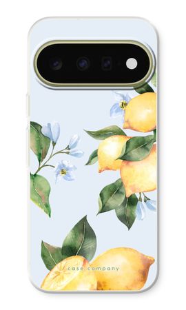 Orchard Sun