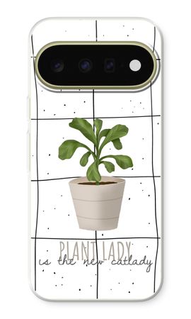 Houseplant on windowpane
