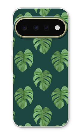 Monstera leaves