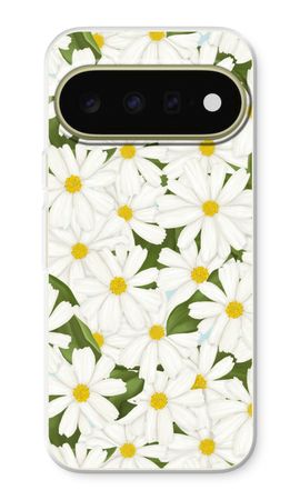 Summer Daisies