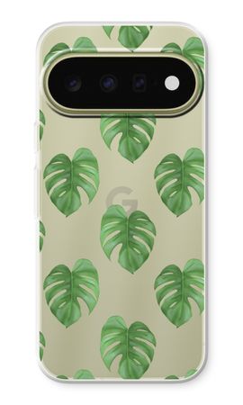 Monstera leaves