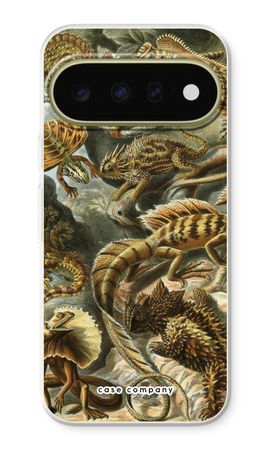 Haeckel Lacertilia