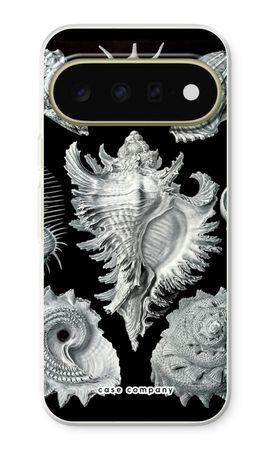 Haeckel Prosobranchia